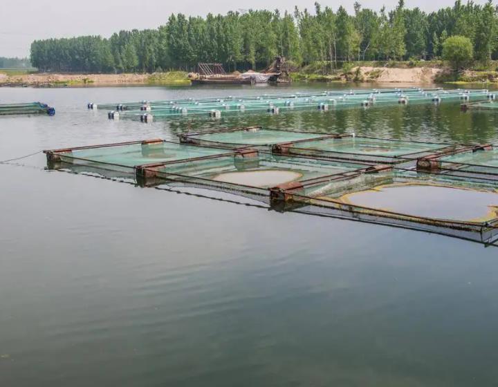 1676424380480266.jpg 水產養殖.jpg