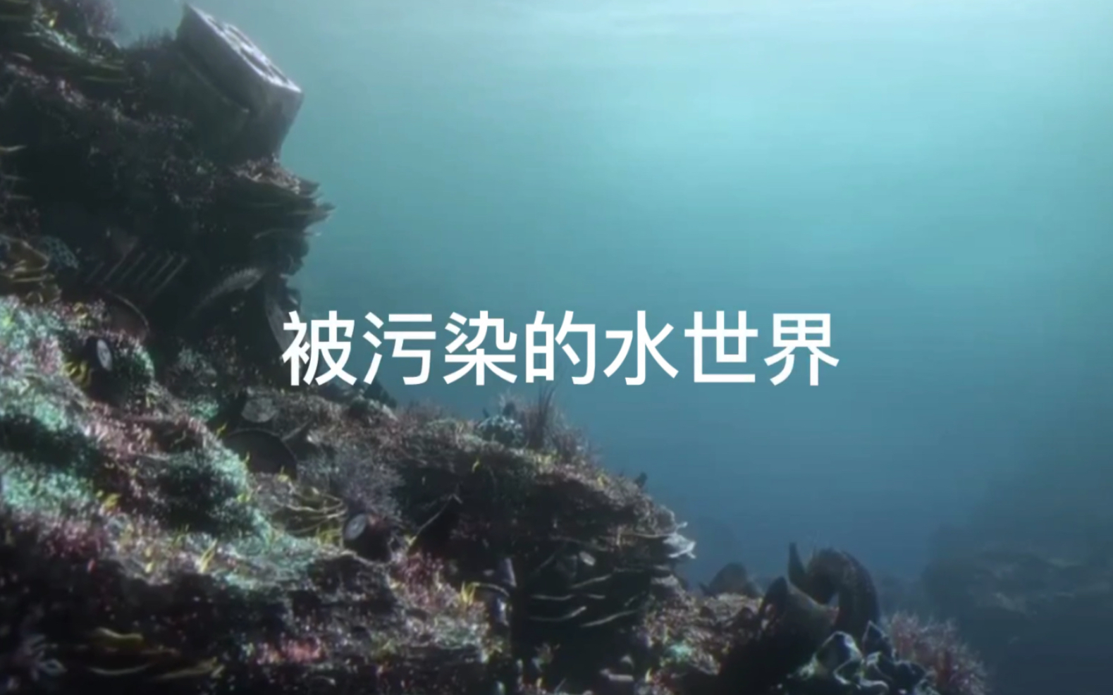 1683879091731302.jpg 水污染 (1).jpg