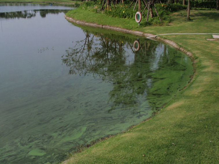 1690351642481275.png 渾濁.png