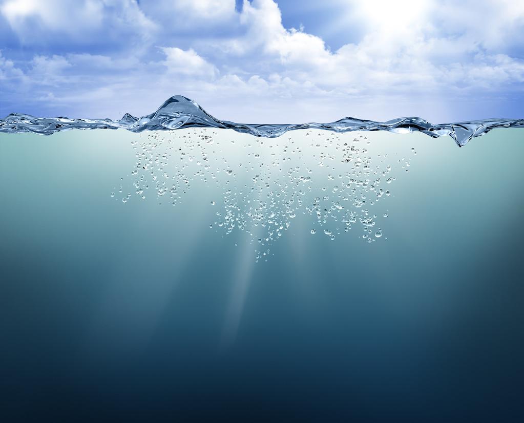 1702091514974126.jpg 1702091514974126.jpg