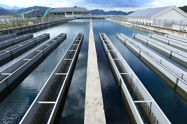 1705458279968914.jpg 自來水廠.jpg