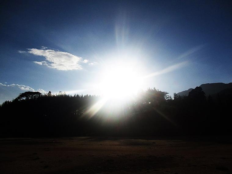 1710295644934395.jpg 暴露在強烈的陽光.jpg