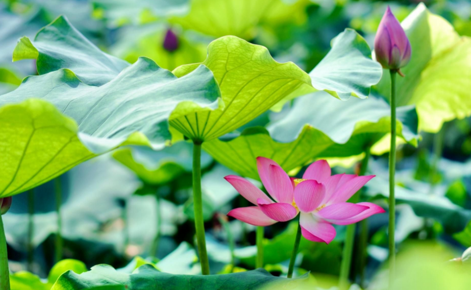 1715148361939168.png 1715148361939168.png