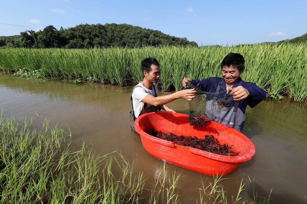 1715310257886327.png 1715310257886327.png