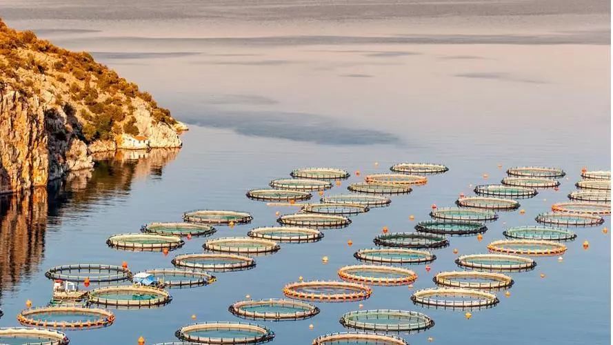 1716346161857398.jpeg 1716346161857398.jpeg