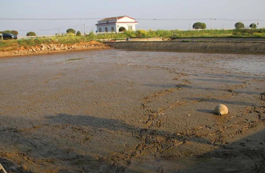 1719561438137485.jpg 1719561438137485.jpg