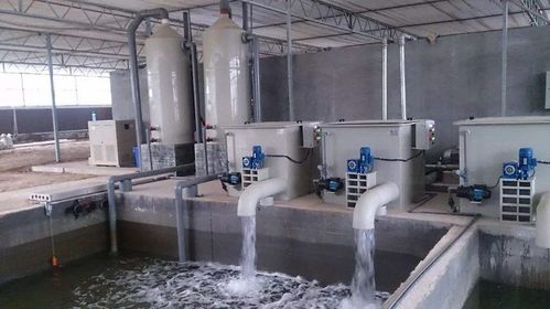 1733204465213408.jpeg 工業循環水.jpeg