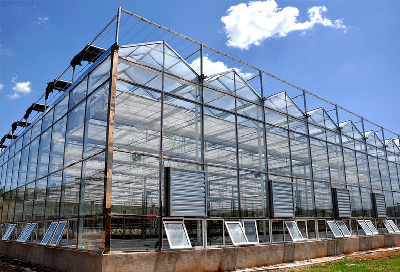 1733204796821313.jpg 溫室大棚.jpg