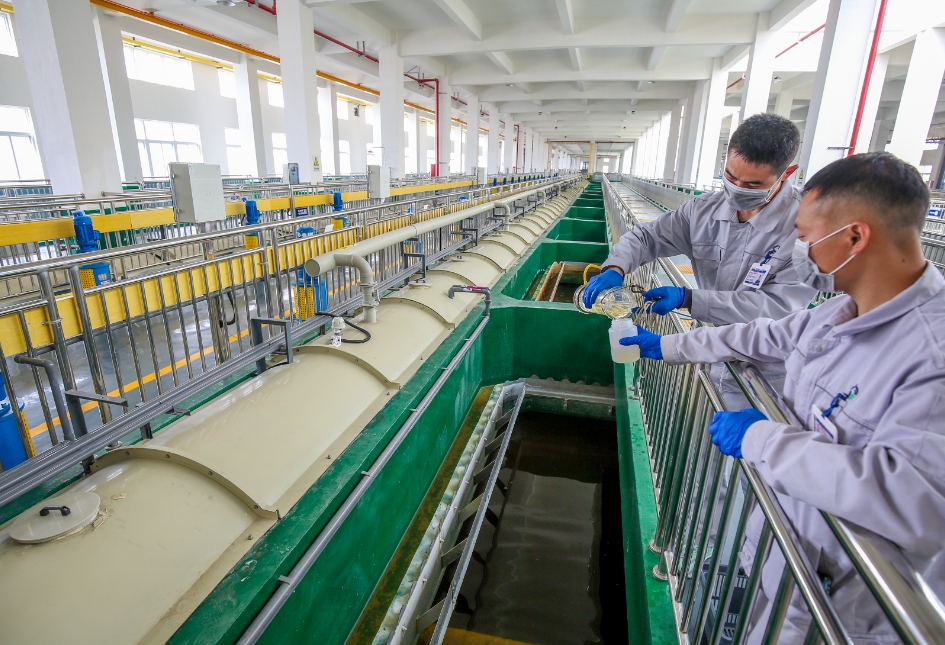 1734153818697785.jpg 1734153818697785.jpg