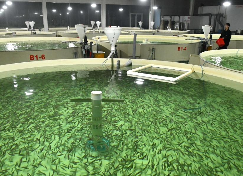 1736747891622354.png 1736747891622354.png