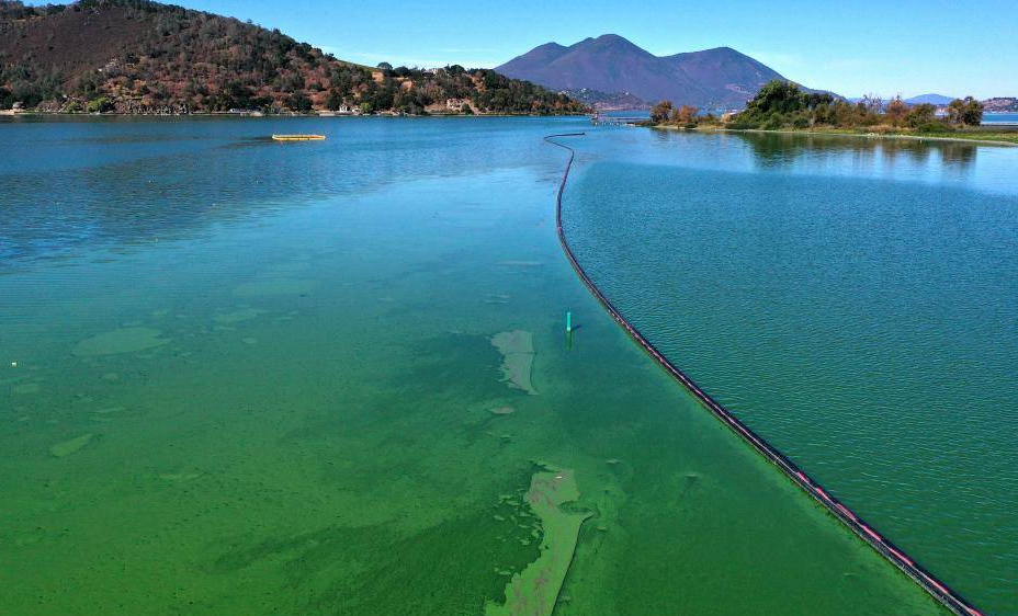 1739345252630323.png 1739345252630323.png