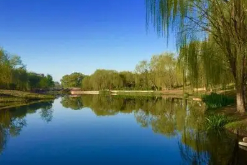 1742524594240367.jpg 1742524594240367.jpg