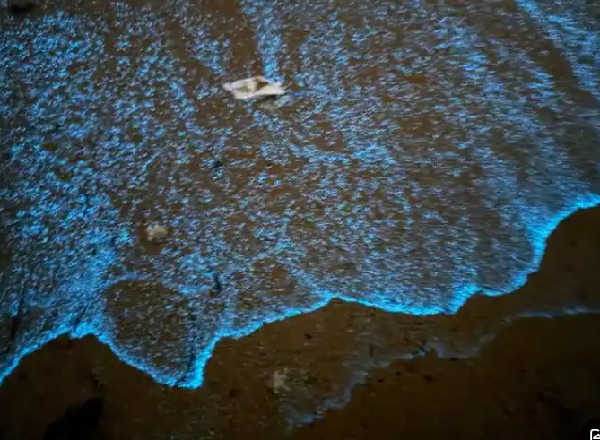 1743130137189021.jpg 藍(lán)眼淚.jpg