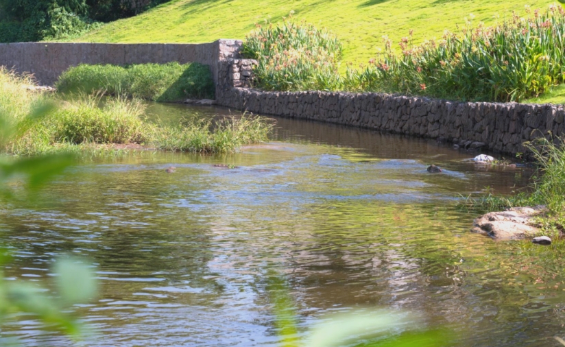 1748073633131018.jpg 1748073633131018.jpg