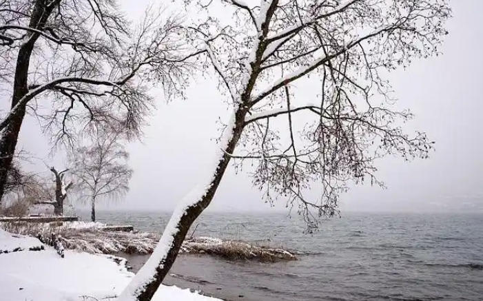 1767750021698736.jpg 下雪 .jpg