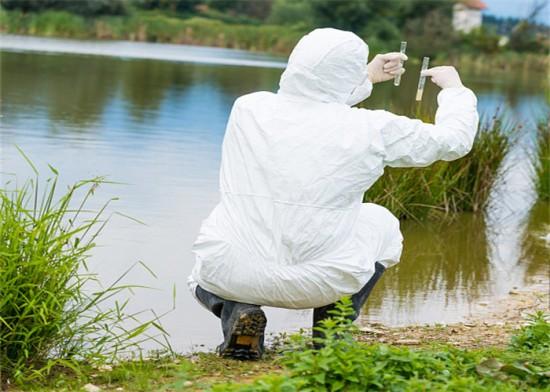 1772673851992327.jpeg 40b952d75cd10ee01559c9c326895ed1_1772156791220981.jpeg